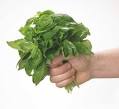 LA ALBAHACA… | COCINANDO IDEAS
