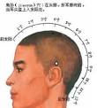 采取“舔”和“轻咬”两种方法。