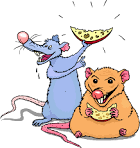 Diet of fancy rat