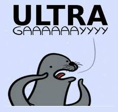 images?q=tbn:ANd9GcQqKkLjoQ4gG1erDOiLdHn3y0JdUyRr6j1u9McQWA5FbSQ6uZZeFkOS4-m1ow