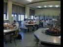 Food Technology