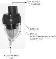 ScienceDirectcom   Advanced Drug Delivery Reviews   Inhalation
