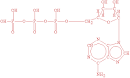 ATP AND BIOLOGICAL ENERGY