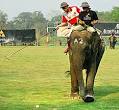  Kings Cup Elephant Polo Tournament
