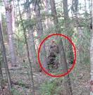 obsession with Sasquatch