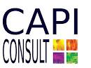 CAPI CONSULT, Franchise Ressources humaines, Gestion des risques ...