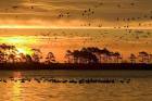 national wildlife refuge - via Daymix