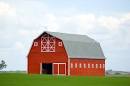 The Organic Solution | Livestock/barn treatment