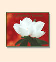 Gulf Coast Online Shopping - via Daymix