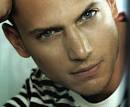 Wentworth Miller Aka Michael Schofield, the guy responsible for sending ... - 62