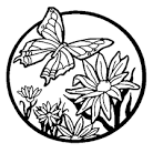Flowers coloring page