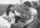 East of Eden | Senses of Cinema