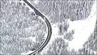 Survivor: Deadly avalanche a 'horror story' | Local & Regional ...