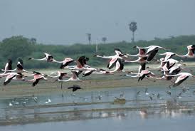 Tirupati Tour, Tirupati Tours, Tirupati Package, Tirupati Packages, Tirupati Tour Package, Tirupati Tour Packages, Tirupati Tours Package, Tirupati Tours Packages, Tirupati Package Tour, Tirupati Packages Tour, Tirupati Package Tours, Tirupati Packages Tours