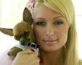 new paris hilton lesbian sex tape