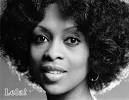 Lola Falana. by Billy Ingram
