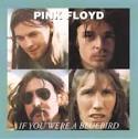 Pink Floyd - Pink Floyd If You Were A Bluebird (bootleg) TEMP - 96-1
