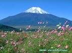 fuji