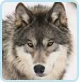 American Alpine Institute - Climbing Blog: Climbing and Outdoor ...