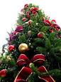 Noël - Wikipédia
