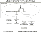 Comprehensive Adrenal Fatigue Article - DrLam® - Body. Mind. Nutrition