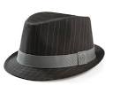 The Vero Striped Fedora