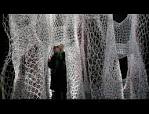 branching <b>morphogenesis</b>