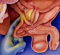 Eyaculacion anal espontanea!! videos...