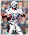 Dan Marino Picture 2