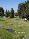 Jack Starrett (1936 - 1989) - Find A Grave Memorial