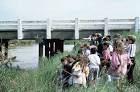 A group of children view - via Daymix