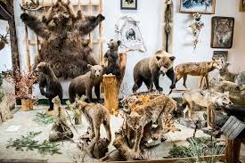 Muzeum Przyrodniczo-Łowieckie "Knieja" w Nowosiółkach
