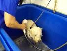 The shampoo has to be well - via Daymix