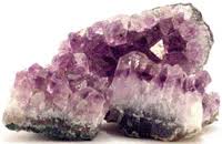 http://t3.gstatic.com/images?q=tbn:ANd9GcQunpHQQIjIFgJQP_PwWVJGrQsJ0JD3xYvrXlY3b7PFzPW8M83B&t=1