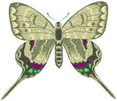 Butterfly Clipart Borders