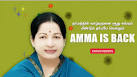 Amma is back: AIADMK website sparkles with crackers and colours