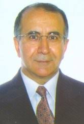 Ali Ülger Professor of Mathematics Koç University - aliulger