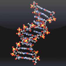 Molecules App Logo