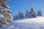 Jour de neige - Page 2 - Le Forum SFR - 820190