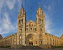 History Museum | New Museums