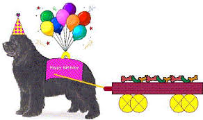 http://t3.gstatic.com/images?q=tbn:ANd9GcQviFdh6MVwczEWi8OYORwtqBy1-ihBkZ1_Fu4_F2ly-maYkuaShA