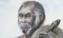 of Homo floresiensis