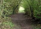 This is part of the Habitat - via Daymix