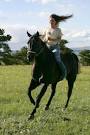 Heartland Truly Moving Pictures | Movie | Flicka