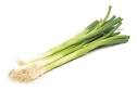 Cook's Thesaurus: Green Onions &amp; Leeks
