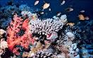 Paleoclimatology: Climate Close-up : Feature Articles