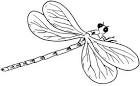 Dragonfly coloring page