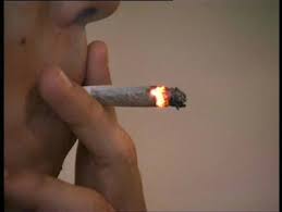 external image images?q=tbn:ANd9GcQx0AH4Hk5Nfp2NLBc5R0jYBNdEhoaZr1BMyPT0W8X4NwcFDsO6VQ