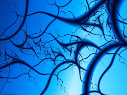 images?qtbnANd9GcQxCAPH QIT2oMacYjd6xLdA k9K1r48L1bzIJW Uhh1Ra0aPK5