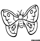 Moth coloring page